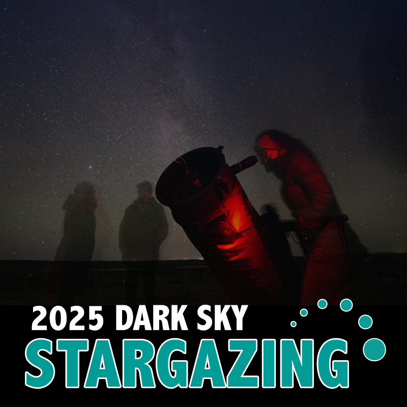 Home-Page-Tile---Stargazing-2025